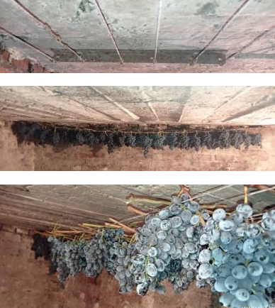 як зберігати врожай винограду